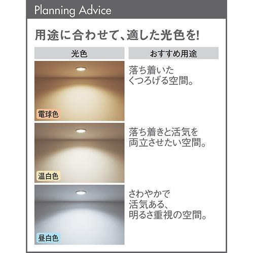 照明の比較